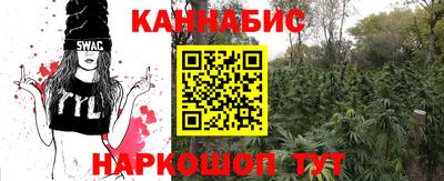 индика Партизанск